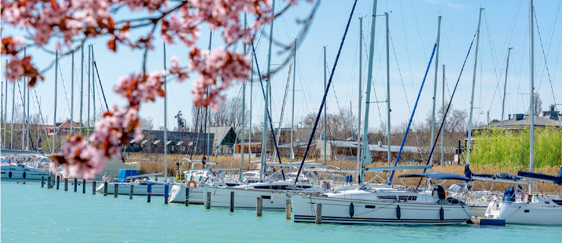 image-of-boats-and-pink-blossoms-in-spring