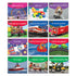 NEWMARK LEARNING NL-6210 Early Rising Readers Transportation Theme Set Spanish Image 1